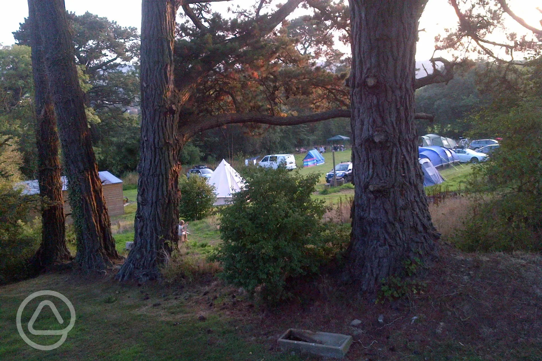 Campsite from the woodlands