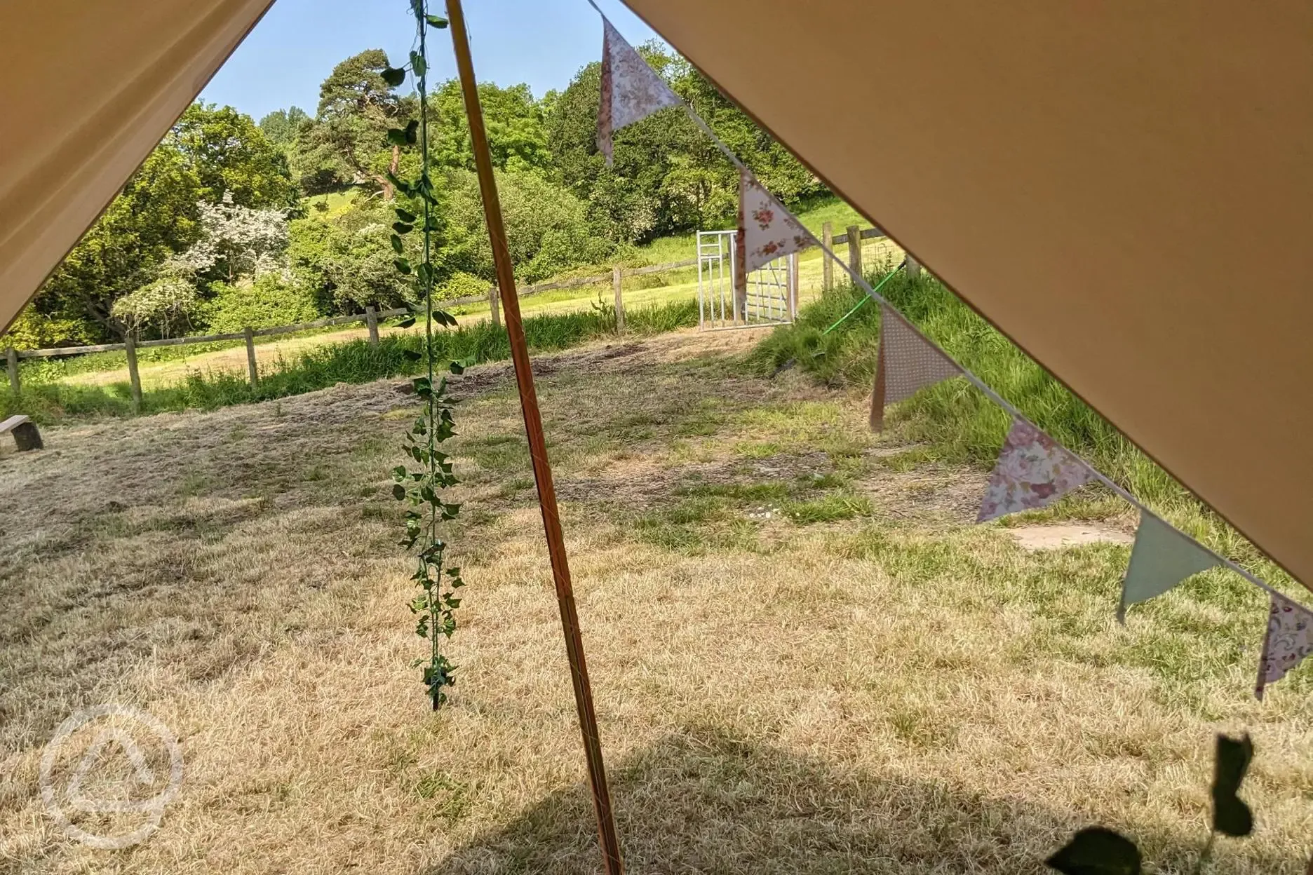 View from inside the bell tent