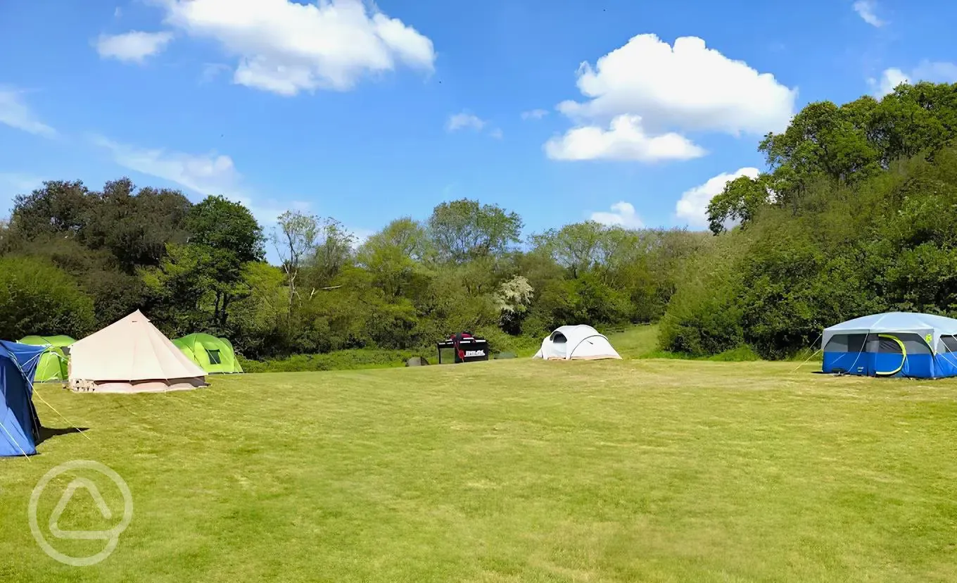Non electric grass pitches