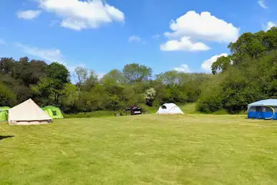 Whitemoor Camping