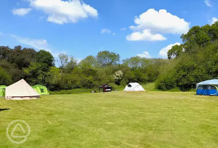 Non electric grass pitches