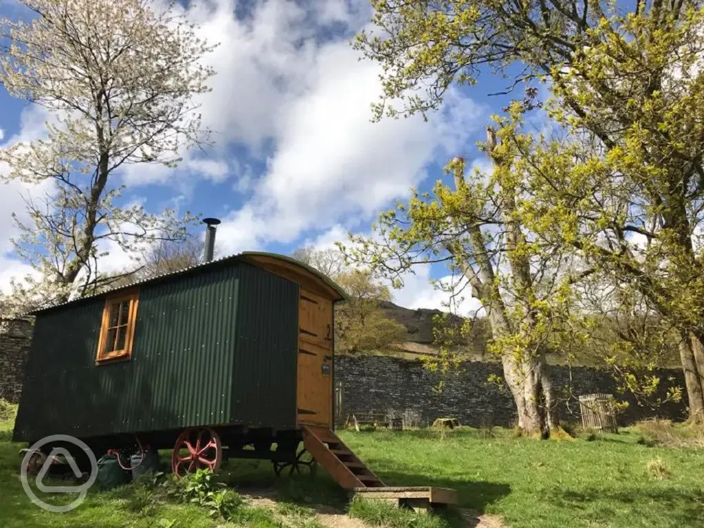 Shepherd's hut