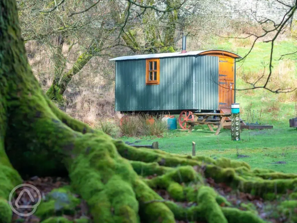 Shepherd's hut