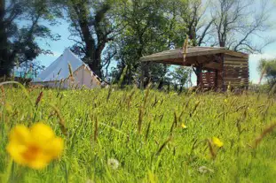 Eco Escape Campsite, Blackbridge, Milford Haven, Pembrokeshire