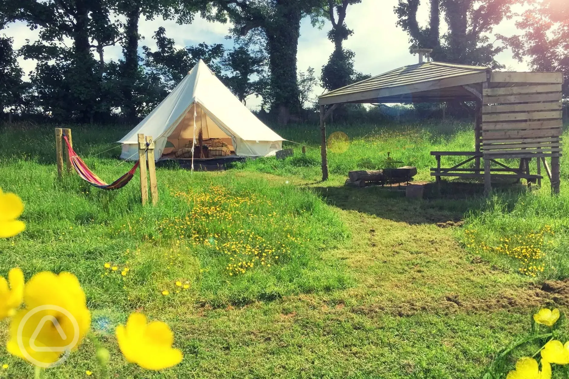 Wildflower meadow with shelter 