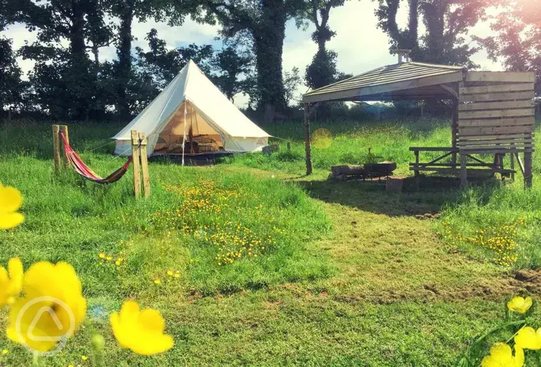 Wildflower meadow with shelter 