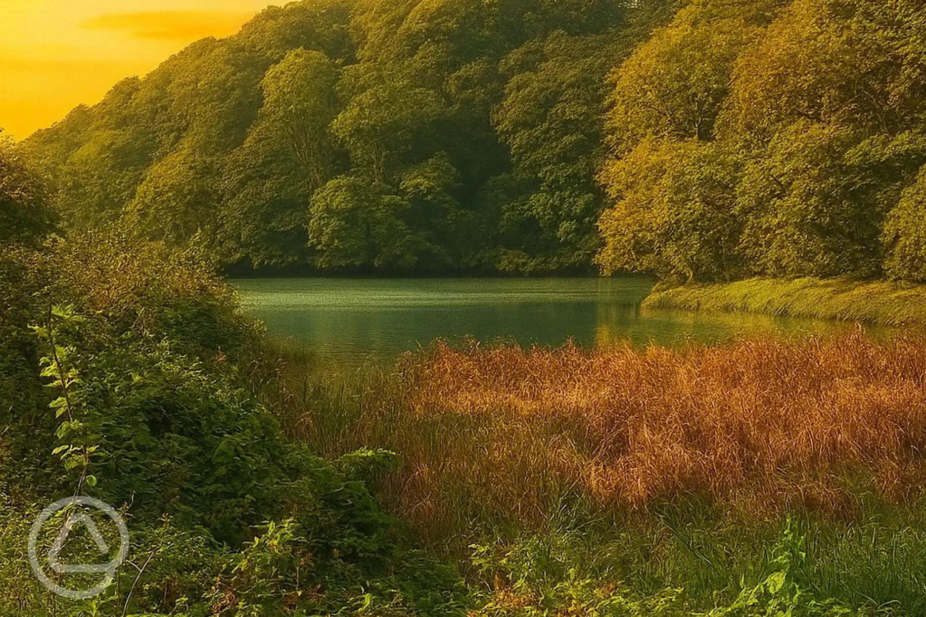 Nearby stream Nearby stream