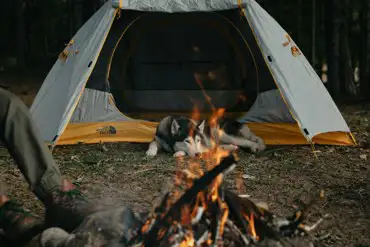 Woodland pitch 