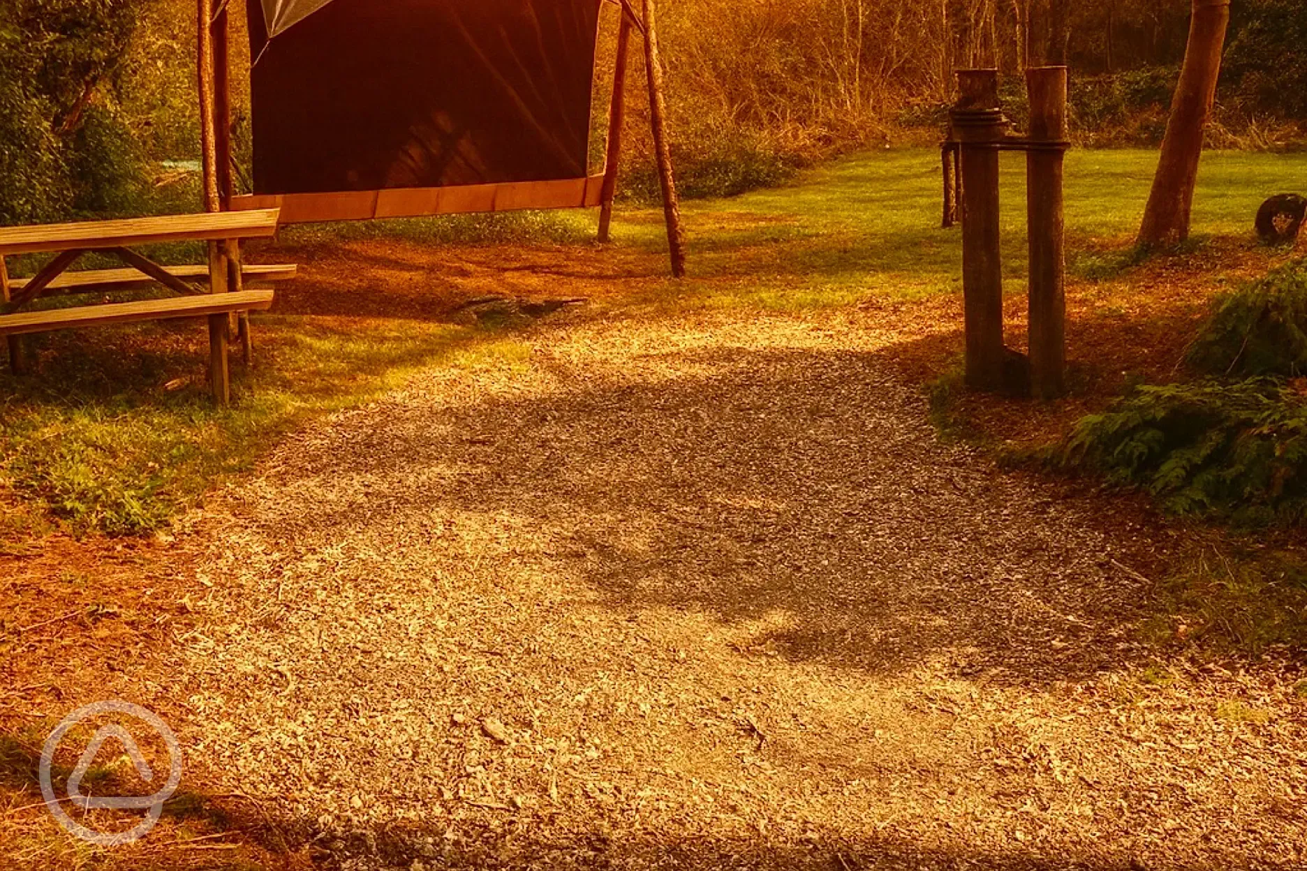 Woodland pitch at sunset