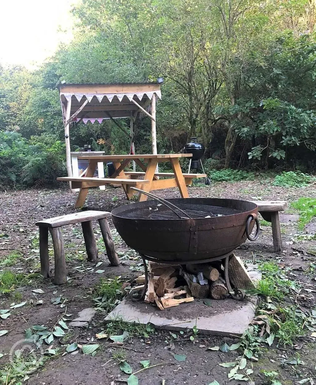 Firepit and kitchen