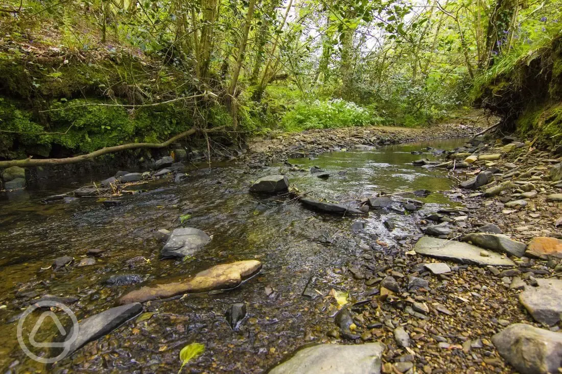 Stream running through the site