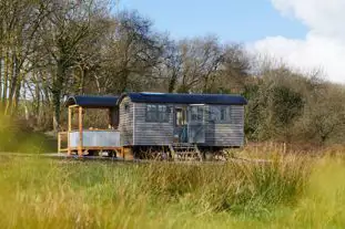 Dimpsey Glamping Somerset, Combe St Nicolas, Chard, Somerset Dimpsey Glamping Somerset, Combe St Nicolas, Chard, Somerset