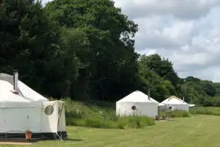 Home Farm Camping, Blandford, Dorset (14.5 miles)