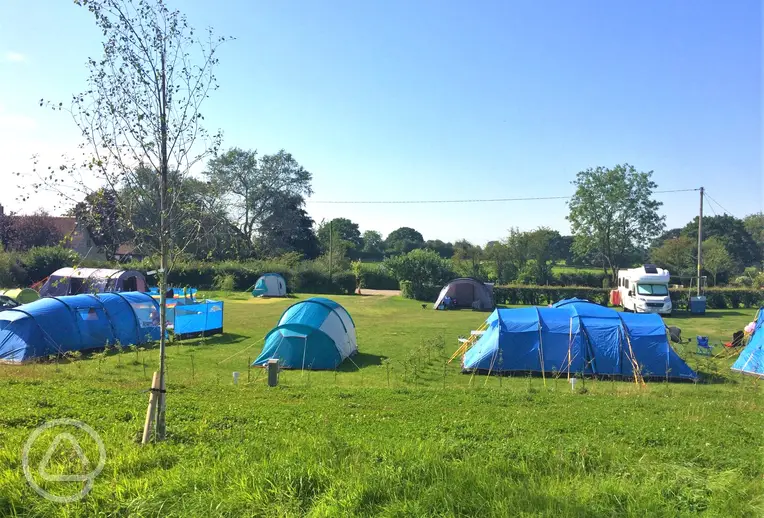 Camping field at Abbey Green Farm, Shropshire