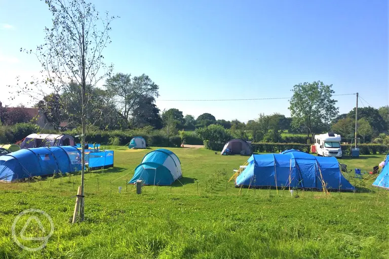 Camping field at Abbey Green Farm, Shropshire