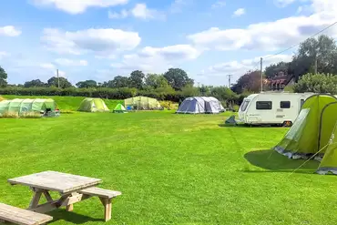 Grass pitches at Abbey Green Farm