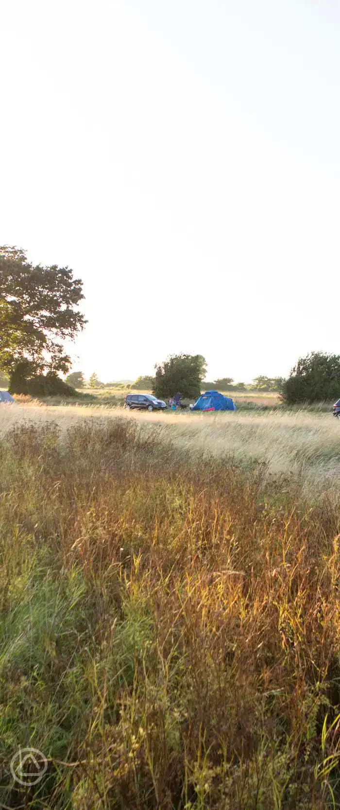 Donnington Wild Camping in Chichester, West Sussex