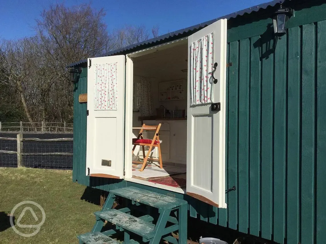 Poppy shepherd's hut