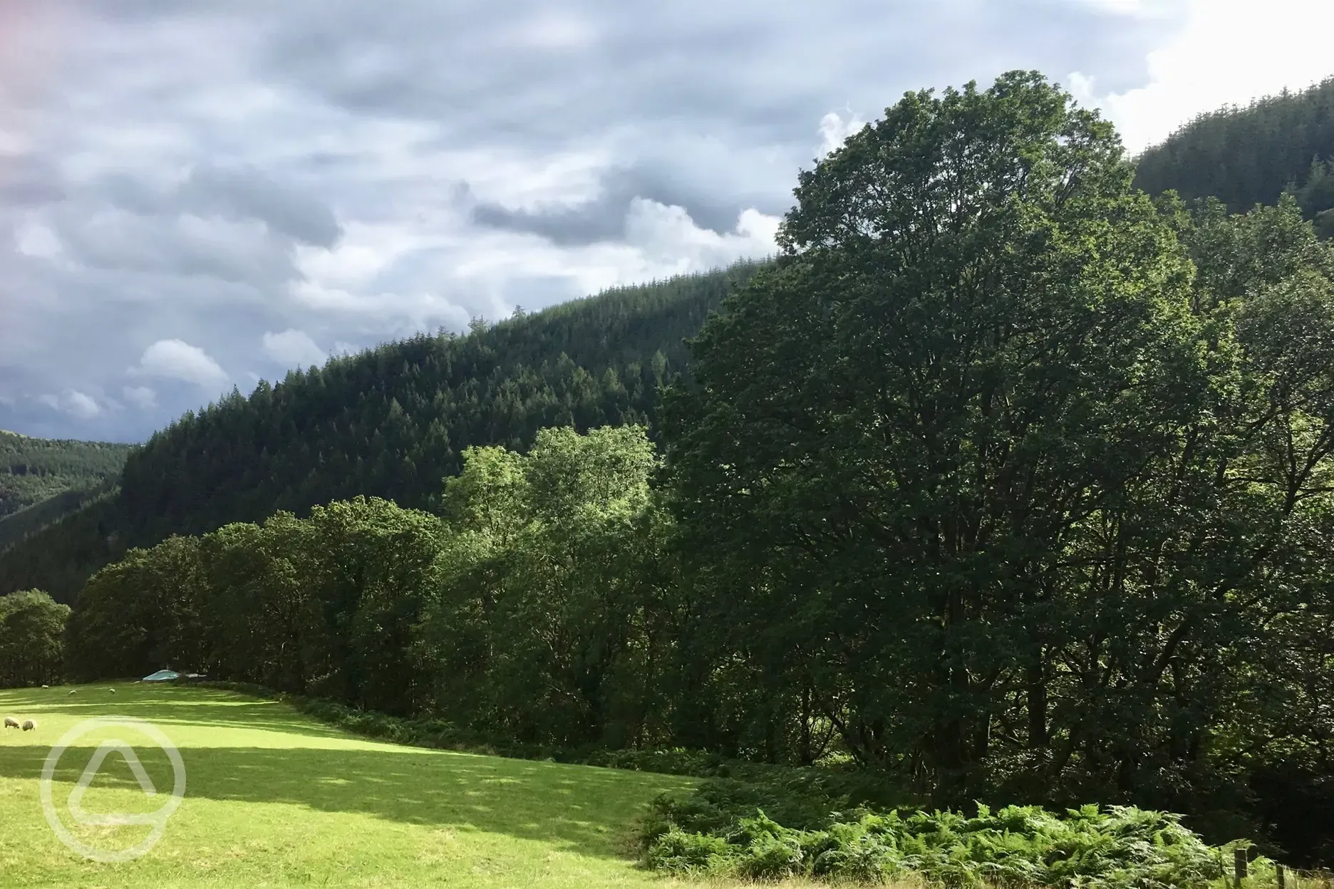 Meadow yurt setting