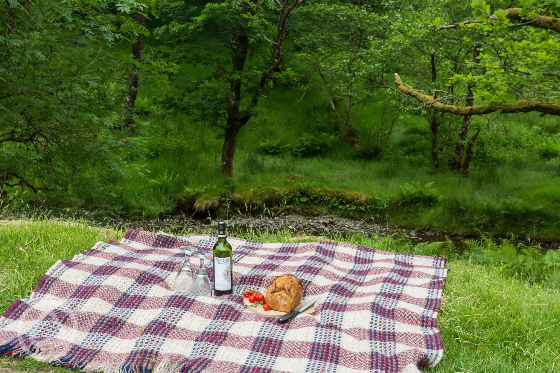Picnic by the river yurt