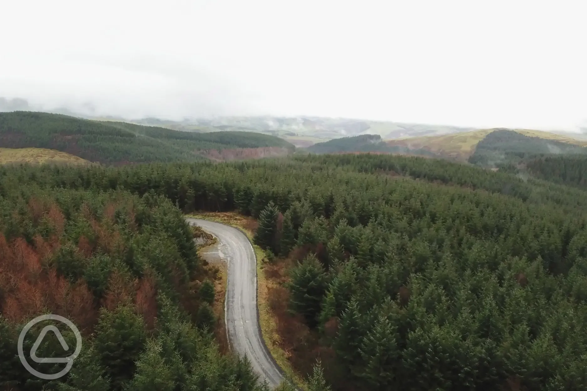 Aerial of the forest