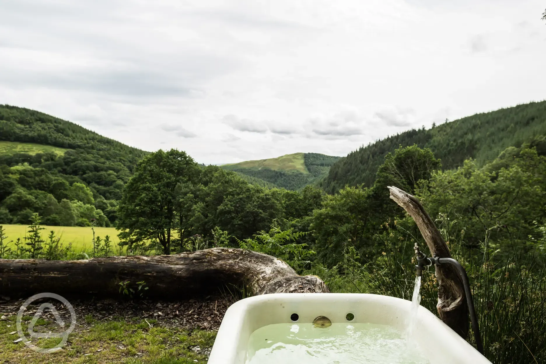 View from the bath at Ash Valley yurt