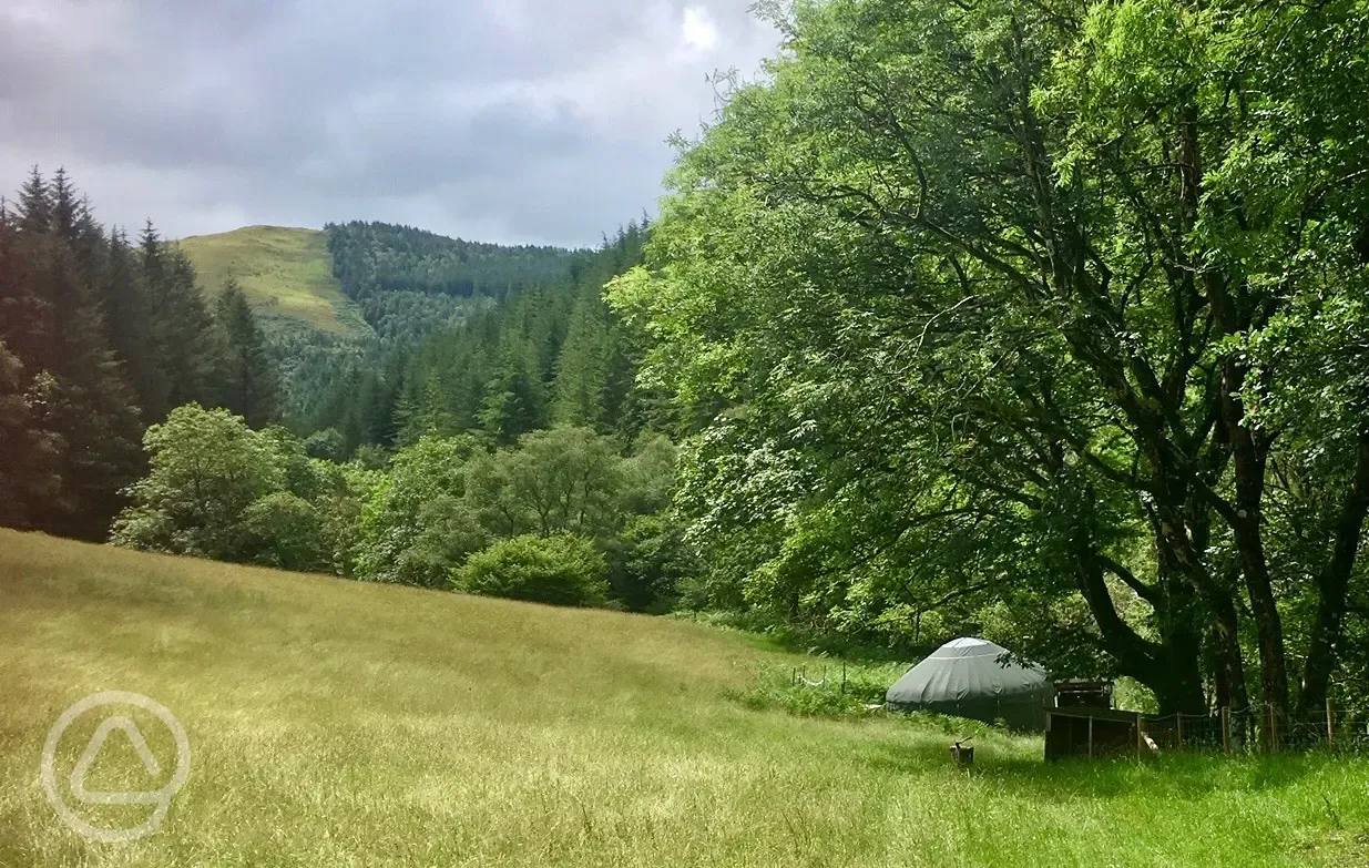 River yurt