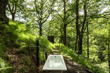 Outdoor bath in forest