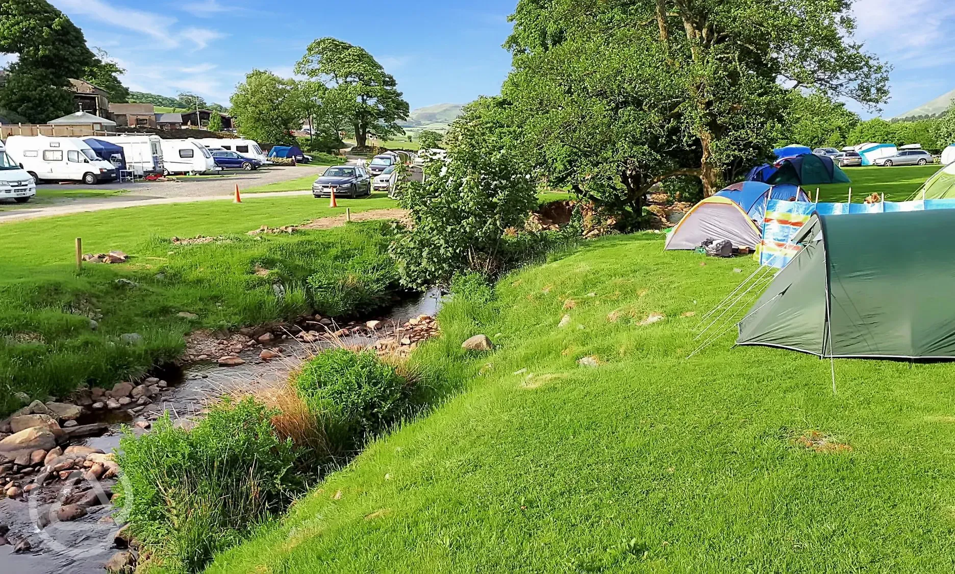 Tents on the Streamside non electric grass pitches Tents on the Streamside non electric grass pitches
