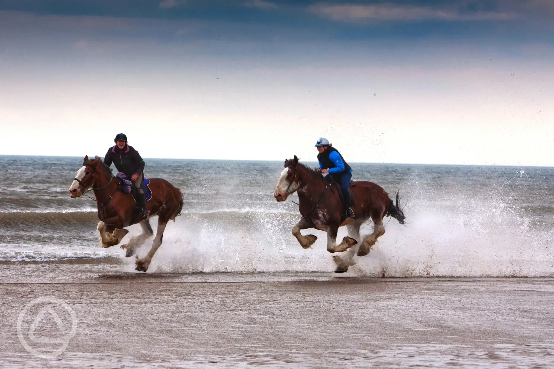 Neighbouring Cumbrian Heavy Horses