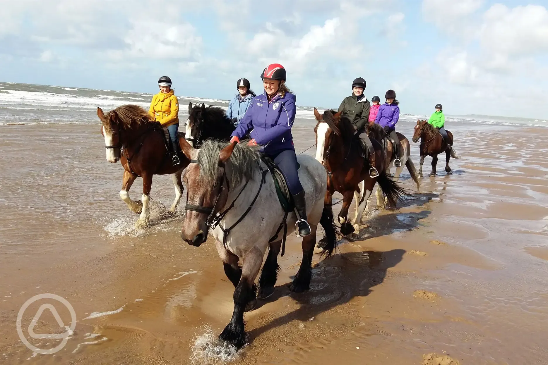 Neighbouring Cumbrian Heavy Horses