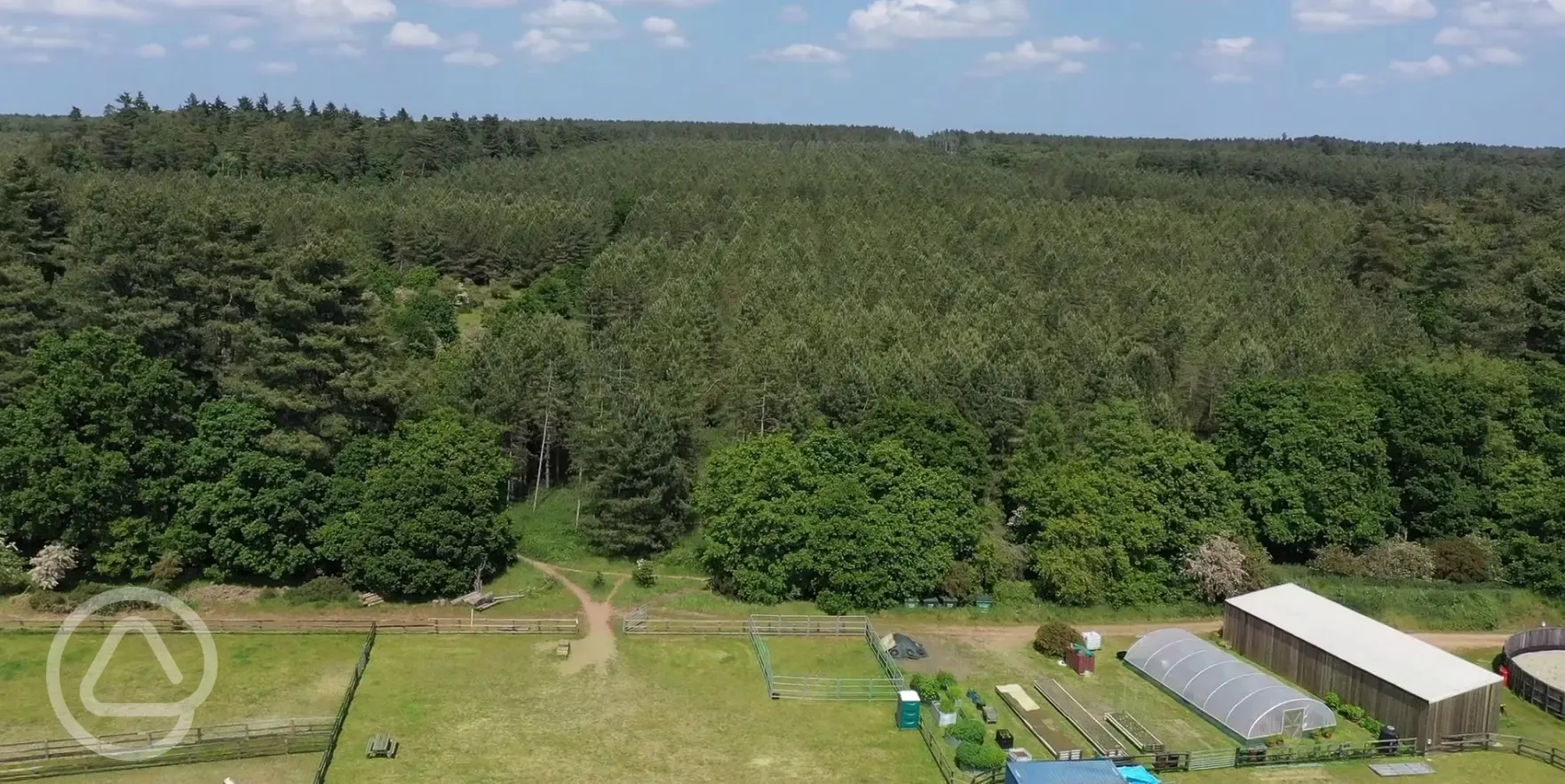 Aerial view of site and forest