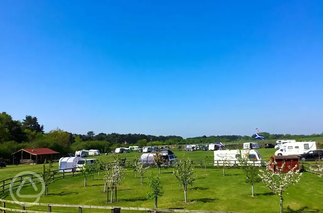 Electric grass pitches