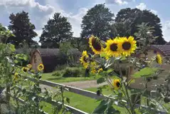 Glamping pods