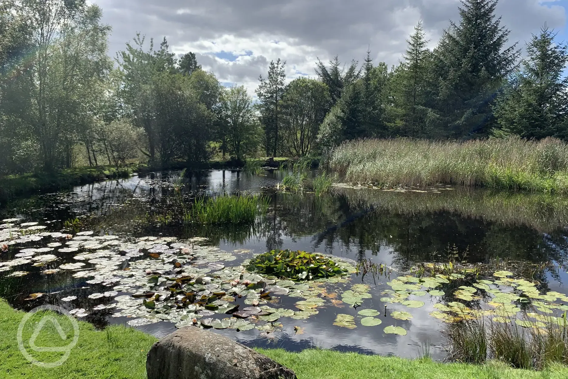 Campsite Pond