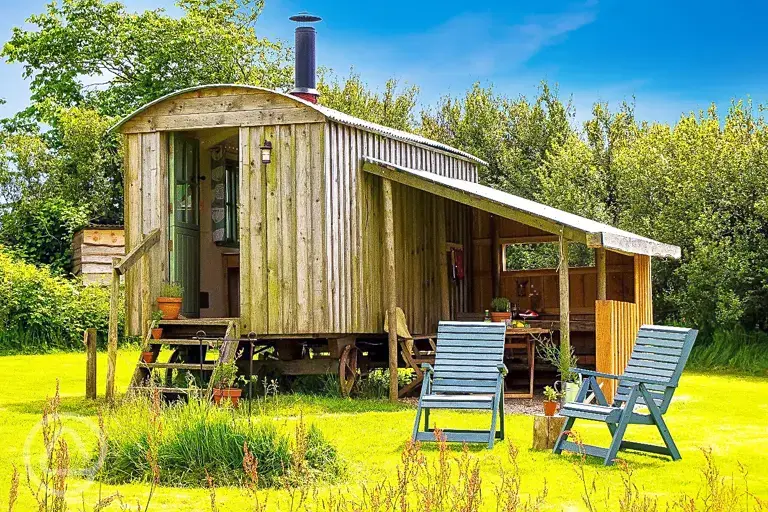 The Hut