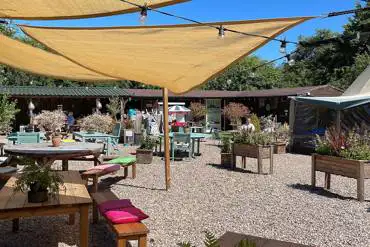 Coffee shop and communal seating