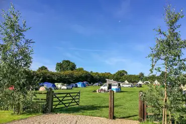 Grass Pitches