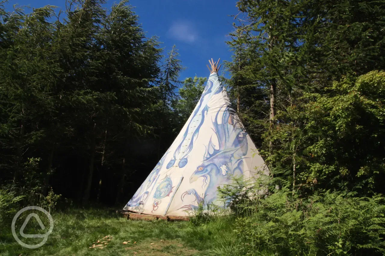 Tipi