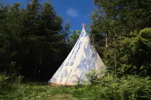 Kitewood Camping, Fishguard, Pembrokeshire