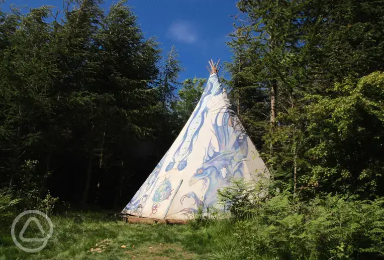 Tipi