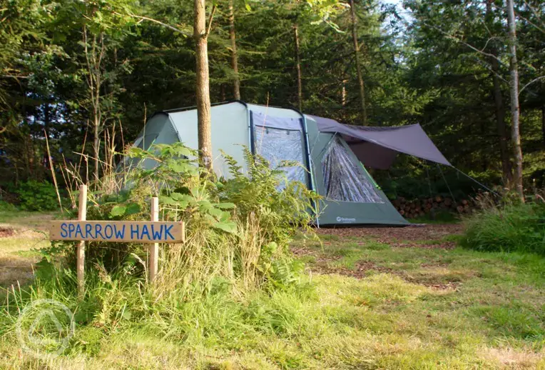 An example of one of our camp pitches - Sparrowhawk