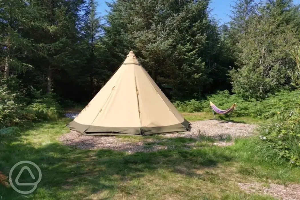 Woodland camping pitch