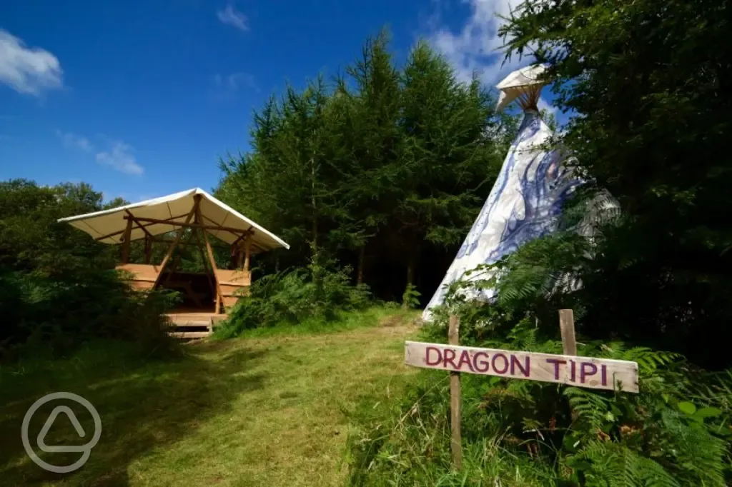 Tipi