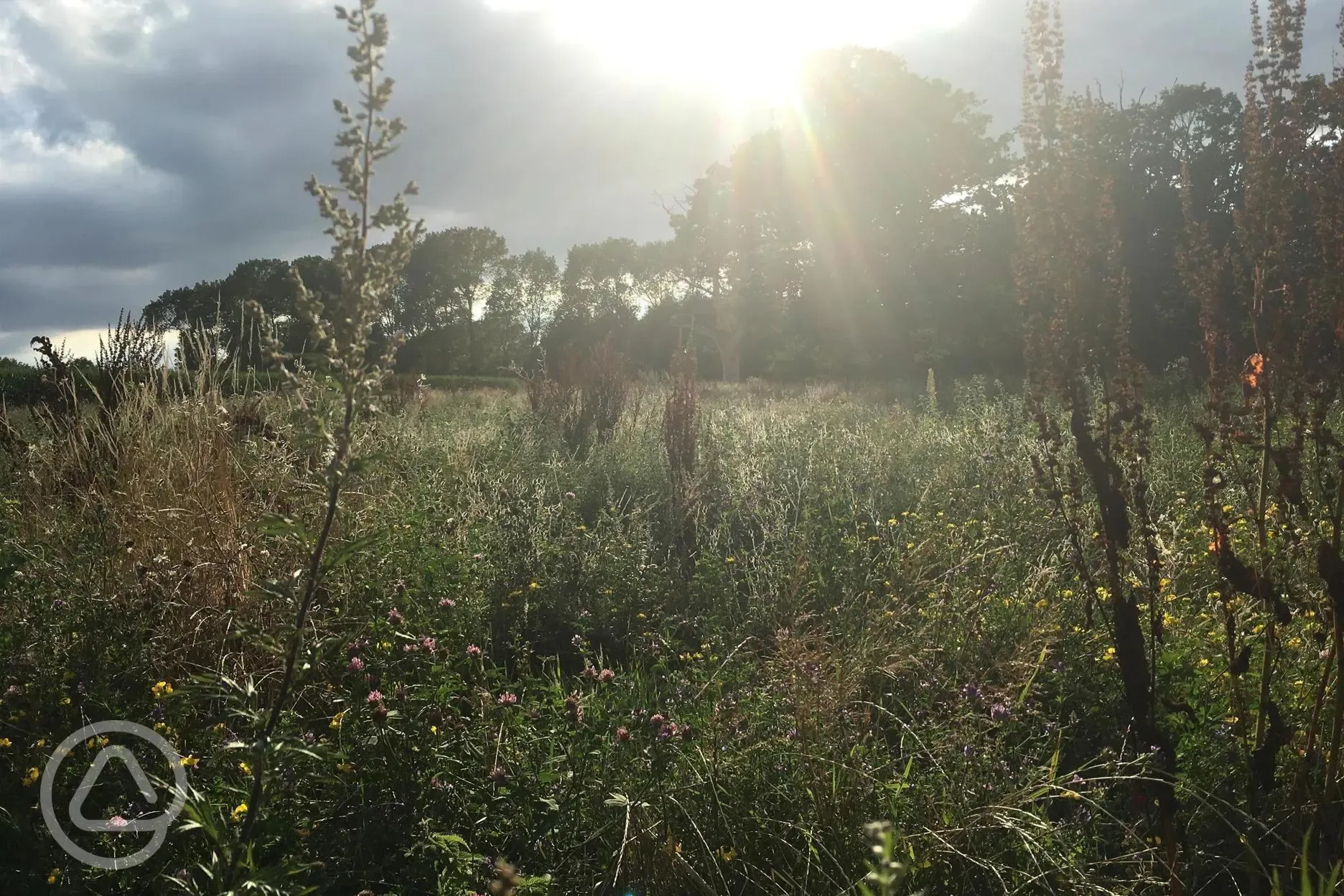 Nature trails and wild flowers 