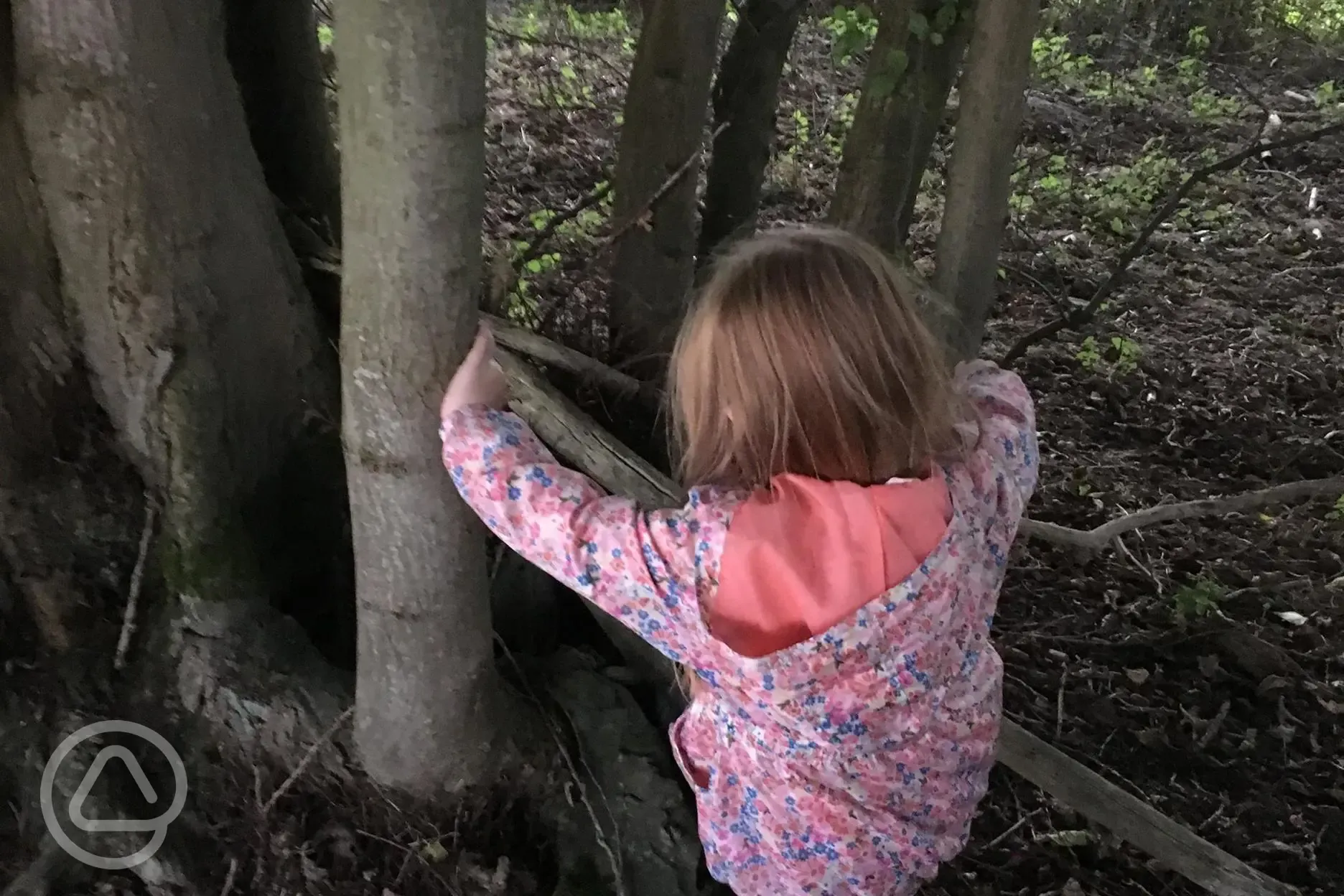 Making dens in the Glamping wood