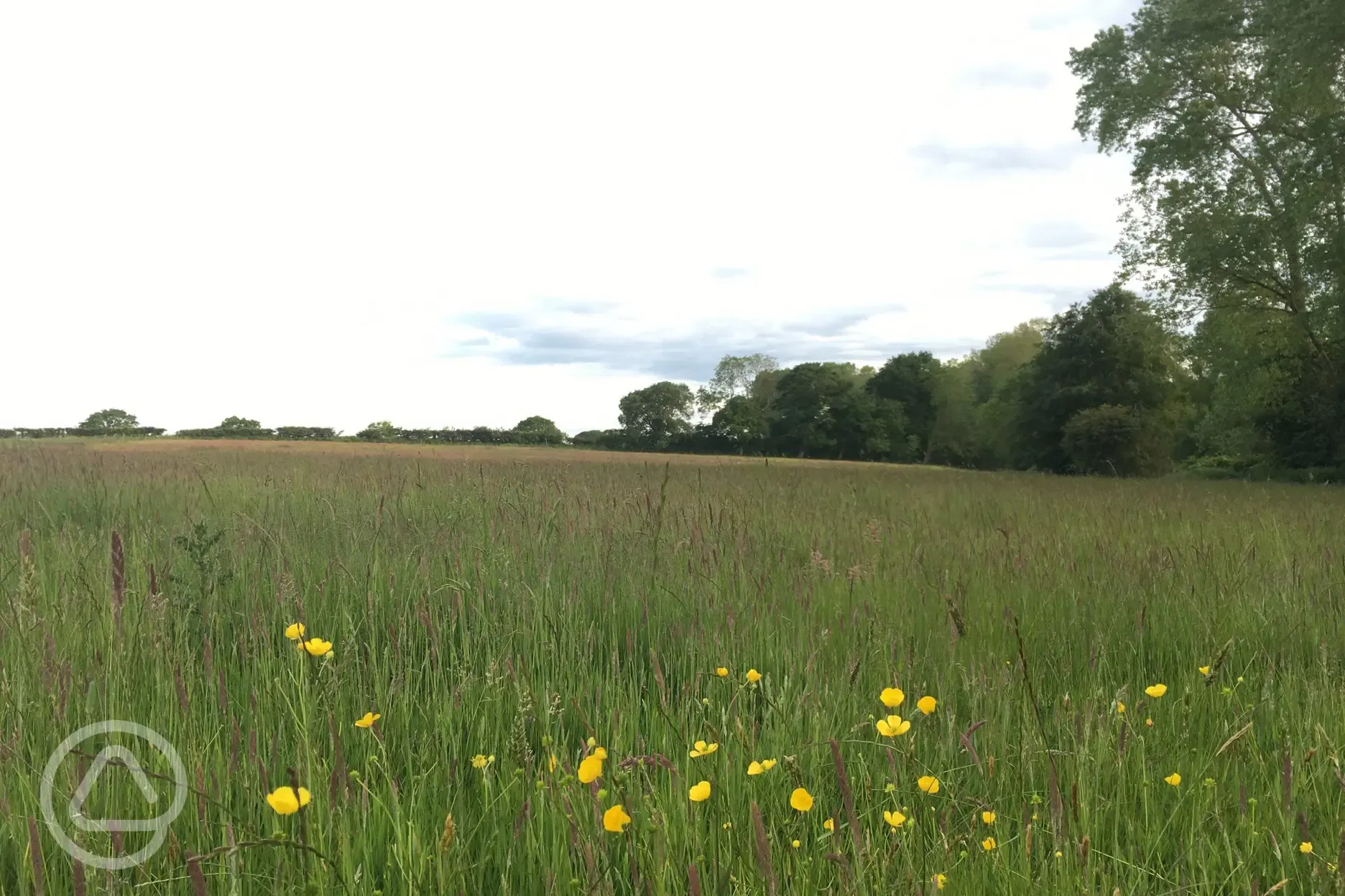 The Glamping field before set up