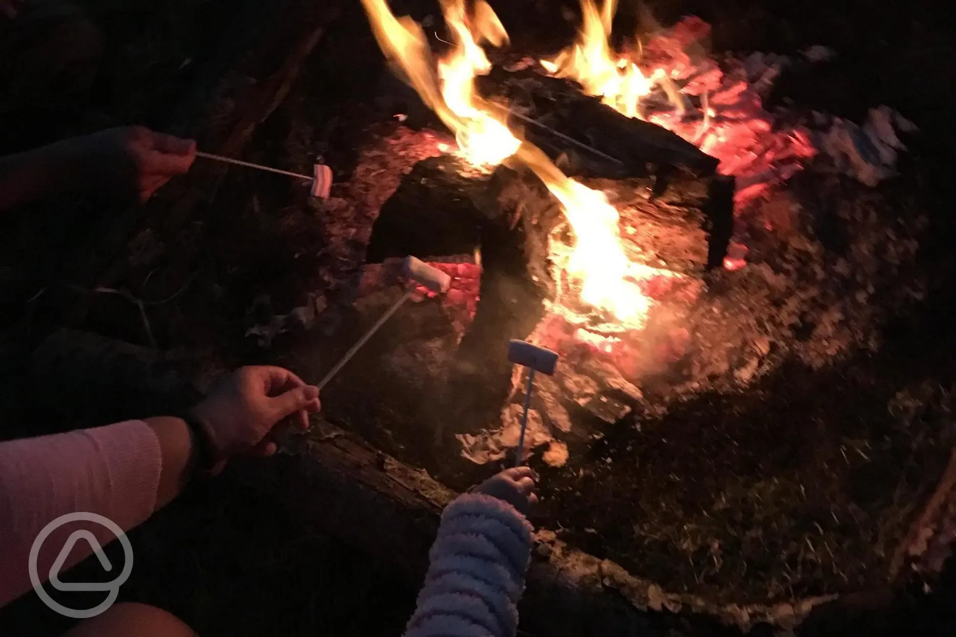 Roasting marshmallows around the fire 