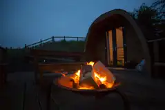 Lavender pod at night