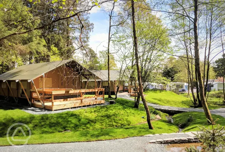 Safari tents
